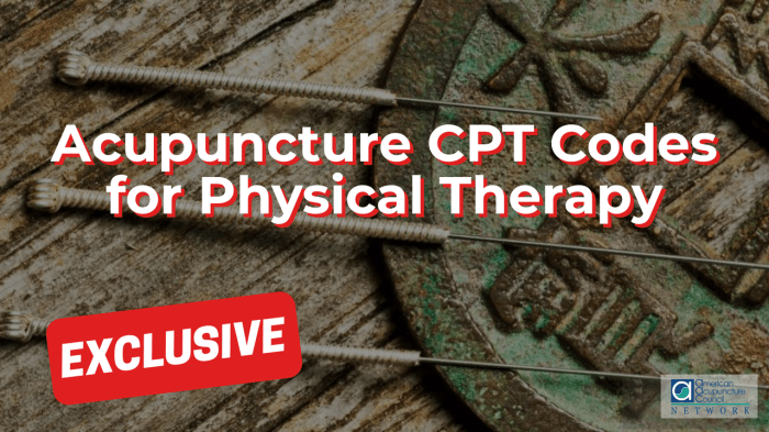 Cpt codes medicare medicaid therapeutic wheelchair cms services