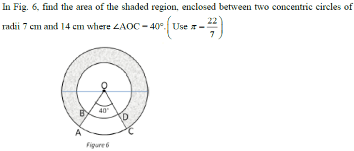 Areas of circles and sectors quiz