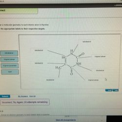 Assign an electron geometry to each interior atom in thymine